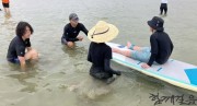 바다에 들어갈 권리, 시혜가 아닌 제주의 일상이 되다